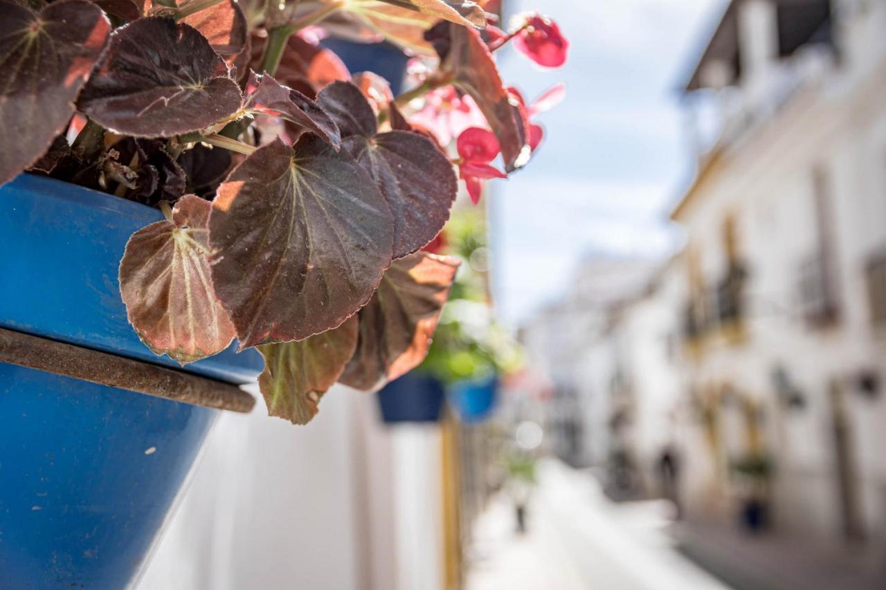 Seaclub Suites Estepona By Roomservices 외부 사진